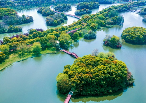 ����ʡʪ�ر������Ѵ�61.99%