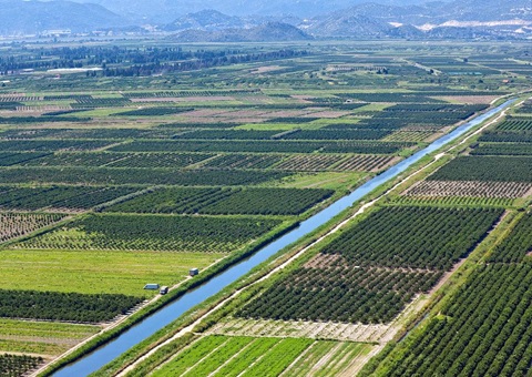 ����ǿ��һʱ�õص�Ƥ���Ѽ��<br>������Ƥ���ѹ滮����һʱ�õ������������