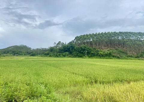 �μ�ر䡰�۱��衱 &nbsp;&nbsp;���Ǹ�����������Ҫ�������辶