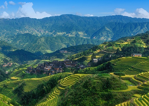 ����200��Ԫ������������Ȩ�Ǽǲ����ʽ���