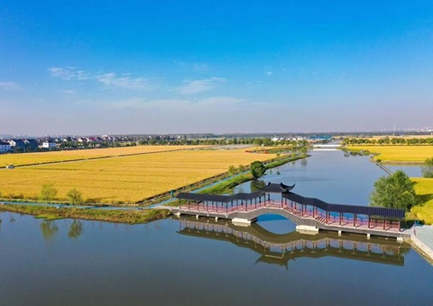 ���������&nbsp;&nbsp;���ս��ɸ߳߶�ũ�����4401��Ķ