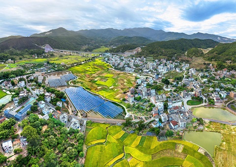 �㶫ʡ2025������11��ȫ���Ƥ�ۺ�����ִ�й滮��ʡ������