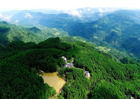 �Ĵ������������ܡ��츮�����Ŀ⡱����