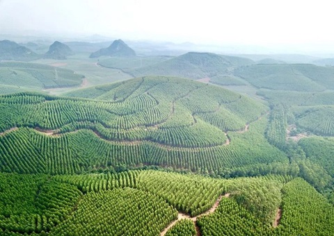 �������¡����һ�������ƶ��õ����ֲ������� ����Ч������40%