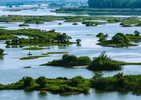 ������̬��ƷĿ¼�䲼 ȫ��������̬��Ʒ��Դ