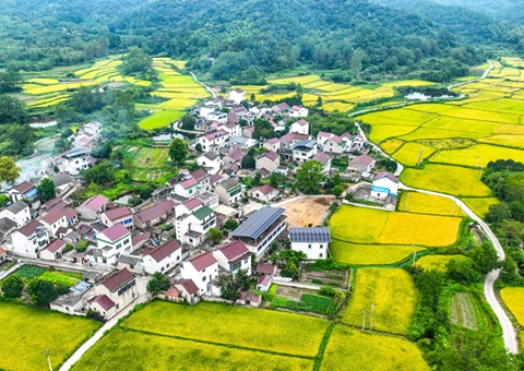 ����ʡ��Ȼ��Դ����130��������ر����ɾ�͹�� ���⳥����1.3��Ԫ