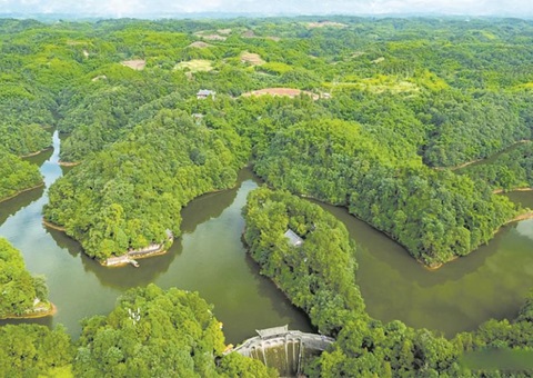 �㡰�̡��ɽ�ٷ�չ  �ɶ�������̬��ֵת���»���