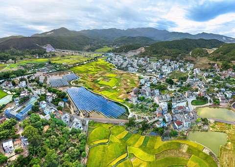 �㶫ȷ���߸�ȫ���Ƥ�ۺ�����ʡ����ϵ��