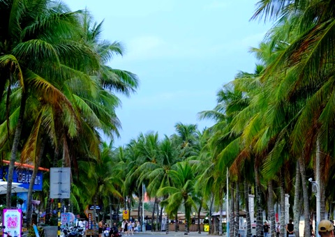 �����������ױ�������кΡ�������?