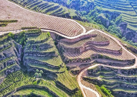 ����������ҵ��̬��ֵת����ģʽ