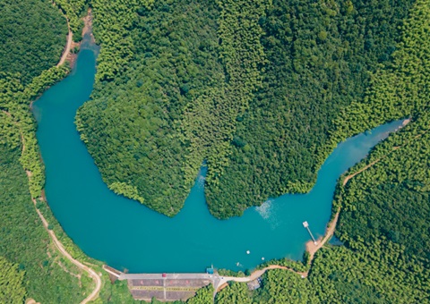 �������ຼ����ɽ�����ˮ����&nbsp;&nbsp;�ƽ��г�����Ԫ����̬�����⳥