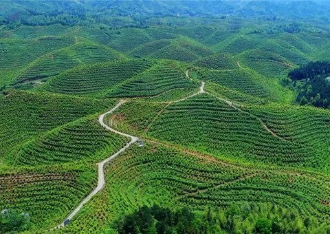 ��������Ȩ���á����������һ�ش�ˮ