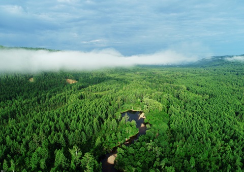 �����׸����ͻ̼�к��쵼�����䲼