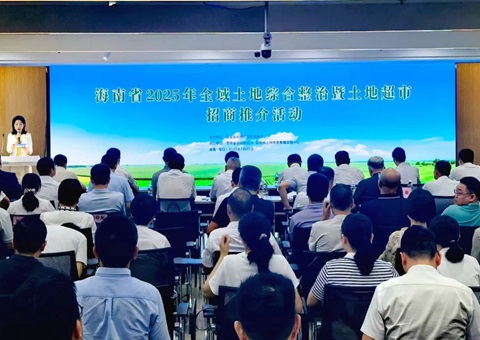 ���Ͻ���2025��ȫ���Ƥ�ۺ������ߵ�Ƥ���������ƽ�