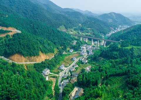 ���γ�500��Ķ��Ͷ��196�ڣ�����ʡ2025������22��ȫ���Ƥ�ۺ�������Ŀ����