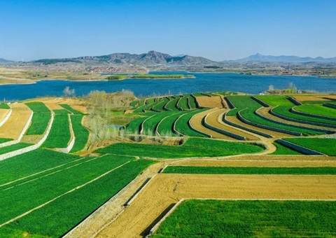 ɽ��������5�귢չһ��ȫ���Ƥ�ۺ�����