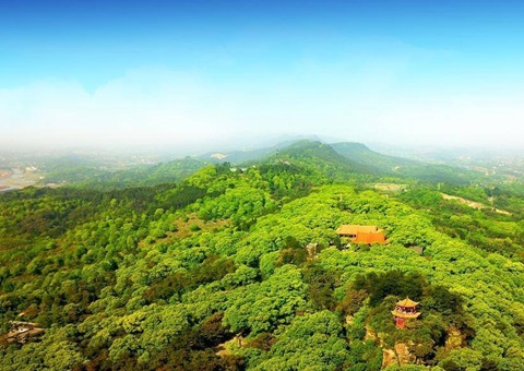 �Ĵ�������ɽ�ֺ��主��ǿ�塰�۱��衱