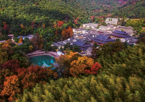 �㽭�����ֹ�԰��̬�������θ�������չ��