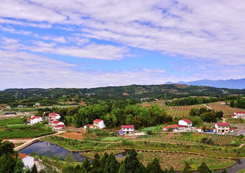 ���ϣ�2026�����ǰʵ�ִ������滮����ȫ����