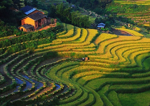 �����촨��չ��̬��Ʒ��ֵʵ�ֻ���