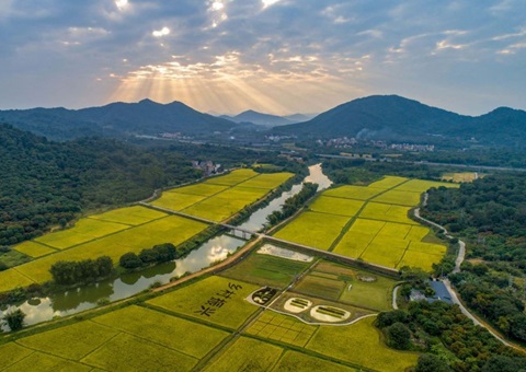 ���²���֧�� ��͵�����Ŀ | �㶫ʡ����������Ͷ��֧��ȫ���Ƥ�ۺ����λ���