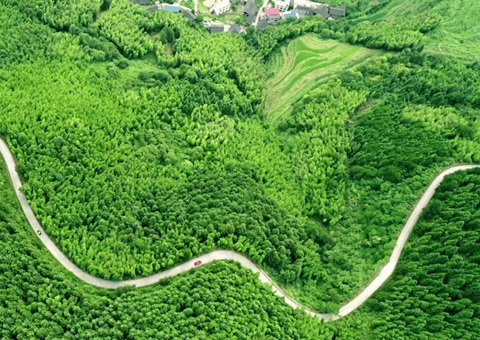 ���ϰ䲼�õ������ò��ں�������·��ͼ��