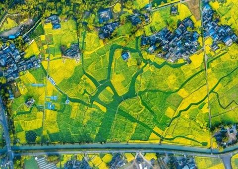 �����оֳ�̨������򡰹���ʽ���滮��������&nbsp;&nbsp;Ϊ���������ṩ�滮֧��